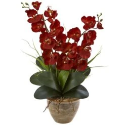 2ft. Red Double Stem Orchid Arrangement In Ceramic Vase -Flowers Michael Store D292623S 1 1