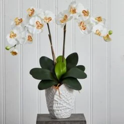 23" White Double Stem Orchid Arrangement In White Textured Vase -Flowers Michael Store D292625S 13