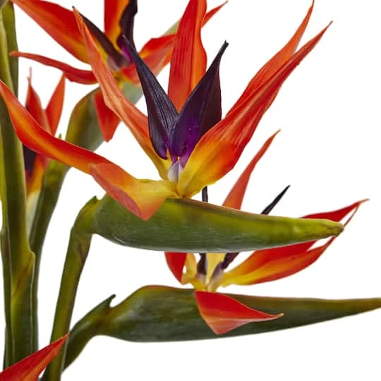 2.5ft. Bird Of Paradise Flowers In Glass Cylinder Vase 7 2.5ft. Bird Of Paradise Flowers In Glass Cylinder Vase - Image 5