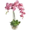18" Moth Orchid Arrangement In Glass Vase 1 18" Moth Orchid Arrangement In Glass Vase -Flowers Michael Store D292700S 11