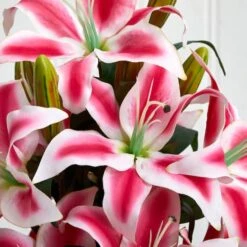 18" Pink Rubrum Lily Arrangement With Decorative Vase -Flowers Michael Store D292734S 13