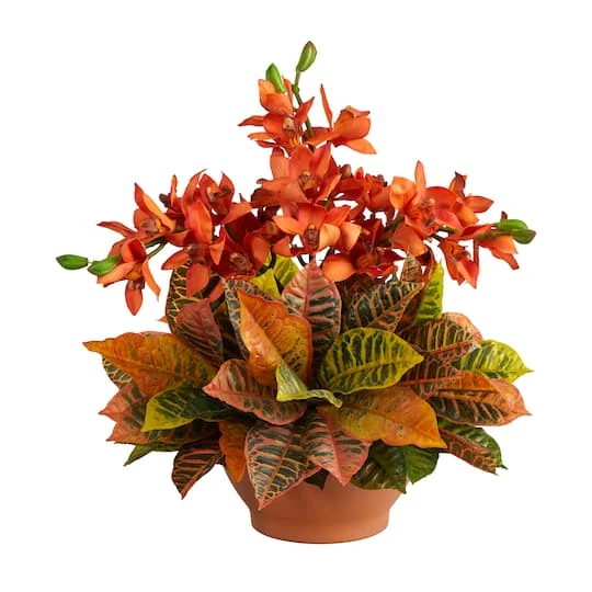 18" Boat Orchid & Croton Floral Arrangement In Terra Cotta Vase 3 18" Boat Orchid & Croton Floral Arrangement In Terra Cotta Vase