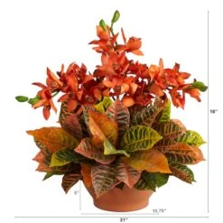 18" Boat Orchid & Croton Floral Arrangement In Terra Cotta Vase 8 18" Boat Orchid & Croton Floral Arrangement In Terra Cotta Vase -Flowers Michael Store D292759S 2