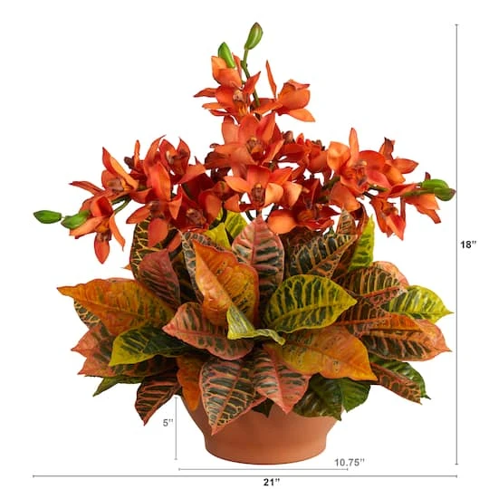 18" Boat Orchid & Croton Floral Arrangement In Terra Cotta Vase 5 18" Boat Orchid & Croton Floral Arrangement In Terra Cotta Vase - Image 3
