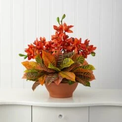 18" Boat Orchid & Croton Floral Arrangement In Terra Cotta Vase 9 18" Boat Orchid & Croton Floral Arrangement In Terra Cotta Vase -Flowers Michael Store D292759S 3