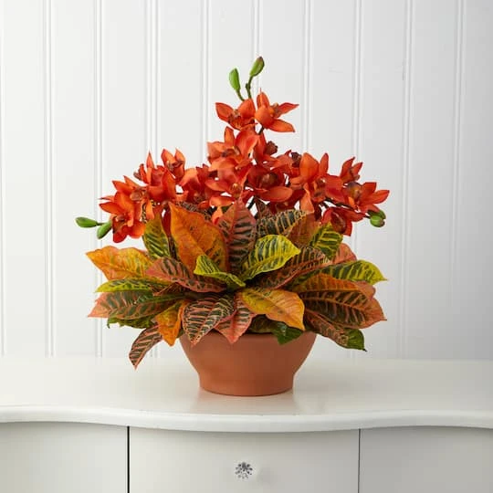 18" Boat Orchid & Croton Floral Arrangement In Terra Cotta Vase 6 18" Boat Orchid & Croton Floral Arrangement In Terra Cotta Vase - Image 4