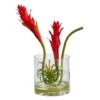 16" Red Star Bromeliad Arrangement In Glass Vase -Flowers Michael Store D292798S 1