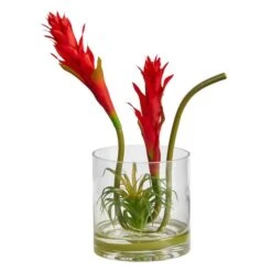16" Red Star Bromeliad Arrangement In Glass Vase