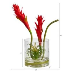 16" Red Star Bromeliad Arrangement In Glass Vase -Flowers Michael Store D292798S 2
