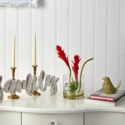 16" Red Star Bromeliad Arrangement In Glass Vase -Flowers Michael Store D292798S 3