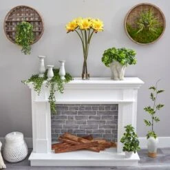 2.5ft. Yellow Lotus Arrangement In Cylinder Vase 11 2.5ft. Yellow Lotus Arrangement In Cylinder Vase -Flowers Michael Store D292815S 4