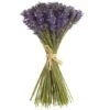 9" Lavender Bundle -Flowers Michael Store D293216S 11
