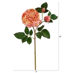 Peach & Pink Rose Stem, 6ct. -Flowers Michael Store D293227S 2