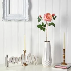 Peach & Pink Rose Stem, 6ct. -Flowers Michael Store D293227S 3