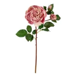Pink Purple Rose Stem, 6ct. 7 Pink Purple Rose Stem, 6ct. -Flowers Michael Store D293230S 1 1