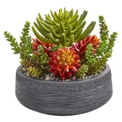 12in. Succulent Garden In Stone Bowl -Flowers Michael Store D293351S 11 1