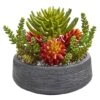 12in. Succulent Garden In Stone Bowl -Flowers Michael Store D293351S 11