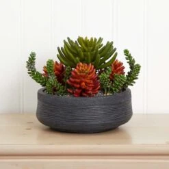 12in. Succulent Garden In Stone Bowl -Flowers Michael Store D293351S 12