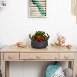 12in. Succulent Garden In Stone Bowl -Flowers Michael Store D293351S 13