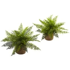 15" Ruffle Fern Bush With Burlap Base, 2ct.