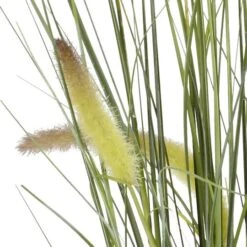 2.5ft. Potted Grass Plant -Flowers Michael Store D293378S 12