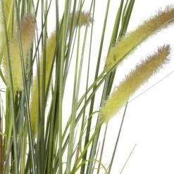 2.5ft. Potted Grass Plant -Flowers Michael Store D293378S 13