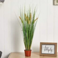 2.5ft. Potted Grass Plant -Flowers Michael Store D293378S 14