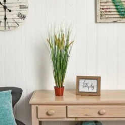 2.5ft. Potted Grass Plant -Flowers Michael Store D293378S 15