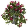 2ft. Flowering Bougainvillea In Decorative Urn -Flowers Michael Store D293381S 1