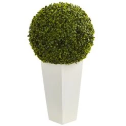 2.5ft. Boxwood Ball Topiary In White Tower Planter