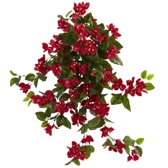 2ft. Bougainvillea Hanging Bush, 2ct. 4 2ft. Bougainvillea Hanging Bush, 2ct. - Image 2