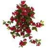 2ft. Bougainvillea Hanging Bush, 2ct. -Flowers Michael Store D293391S 11