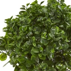 2.5ft. Peperomia Plant In Sand Stone Planter -Flowers Michael Store D293424S 12