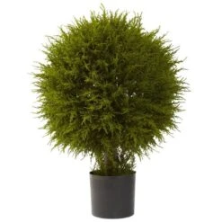 2.5ft. Potted Cedar Ball Topiary -Flowers Michael Store D293429S 11 1