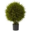 2.5ft. Potted Cedar Ball Topiary -Flowers Michael Store D293429S 11