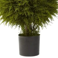 2.5ft. Potted Cedar Ball Topiary -Flowers Michael Store D293429S 12