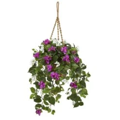 2.5ft. Mixed Bougainvillea In Hanging Basket -Flowers Michael Store D293431S 11 1