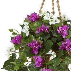 2.5ft. Mixed Bougainvillea In Hanging Basket -Flowers Michael Store D293431S 12