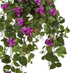 2.5ft. Mixed Bougainvillea In Hanging Basket -Flowers Michael Store D293431S 13
