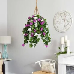 2.5ft. Mixed Bougainvillea In Hanging Basket -Flowers Michael Store D293431S 15