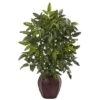 2.5ft. Bracken Fern In Decorative Planter -Flowers Michael Store D293438S 11