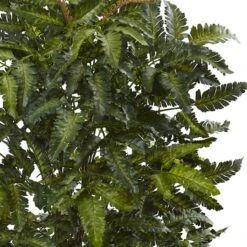2.5ft. Bracken Fern In Decorative Planter -Flowers Michael Store D293438S 12