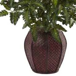 2.5ft. Bracken Fern In Decorative Planter -Flowers Michael Store D293438S 13