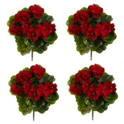 Red Geranium Bush, 4ct. -Flowers Michael Store D293875S 12