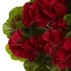 Red Geranium Bush, 4ct. -Flowers Michael Store D293875S 13
