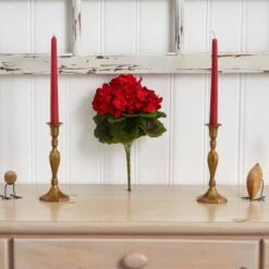 Red Geranium Bush, 4ct. -Flowers Michael Store D293875S 14