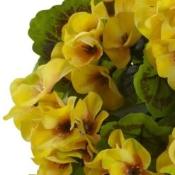 Yellow Geranium Bush, 4ct. -Flowers Michael Store D293879S 13