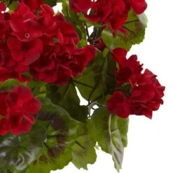 Red Geranium Bush, 3ct. -Flowers Michael Store D293880S 3