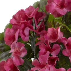 Pink Geranium Bush, 4ct. -Flowers Michael Store D293881S 12