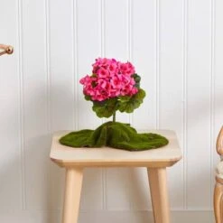 Pink Geranium Bush, 4ct. -Flowers Michael Store D293881S 15